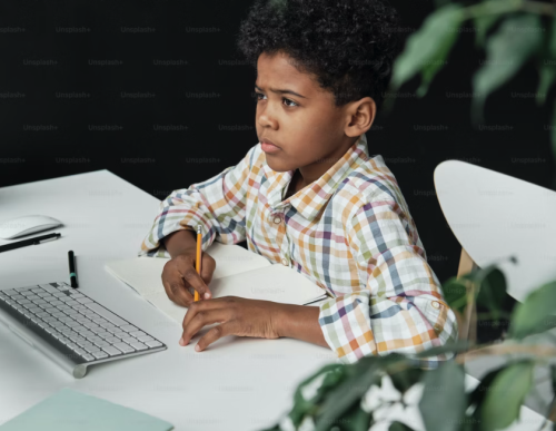 young scholar at computer